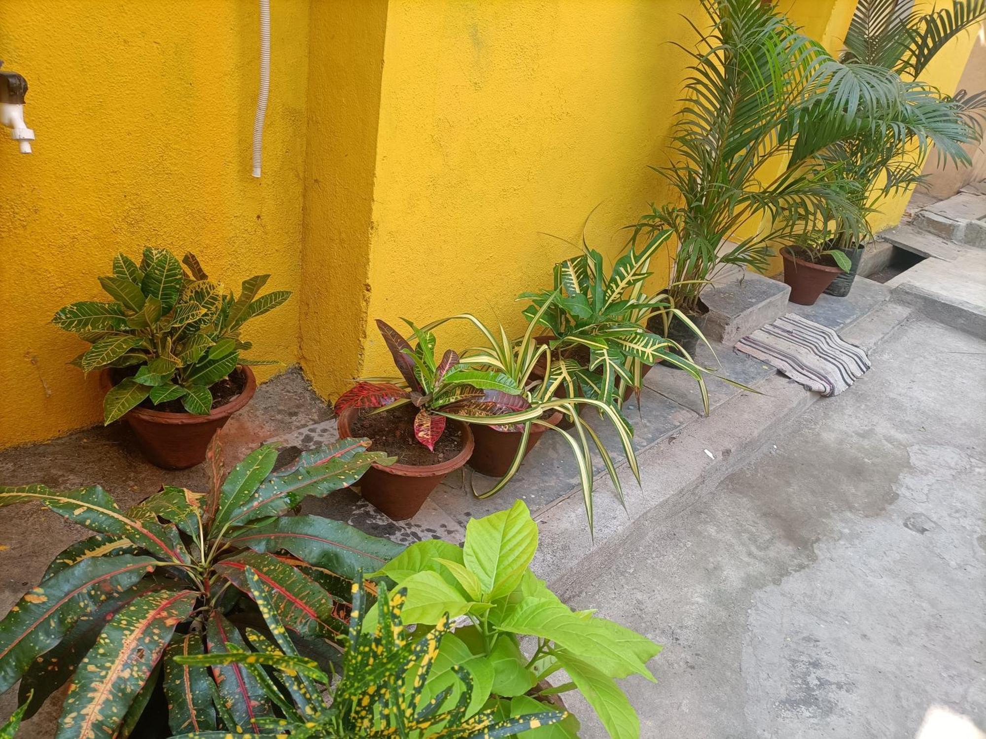 Nks Homestay Pondicherry Exterior foto